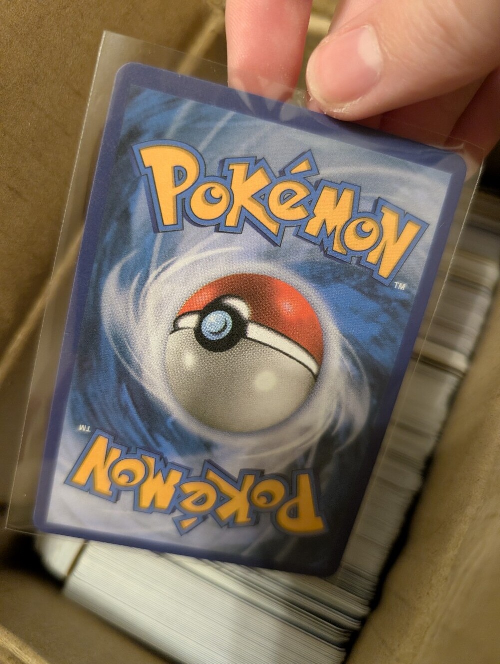 Pokemon Bulk Box - Picture 4 of 5